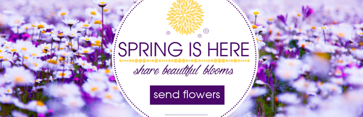 Spring Flowers